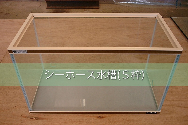 シーホース水槽（S枠）