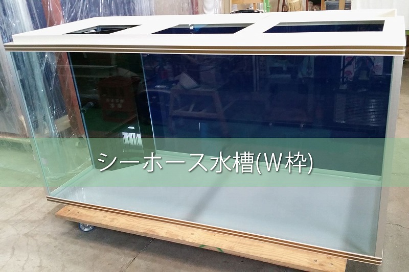 シーホース水槽（W枠）