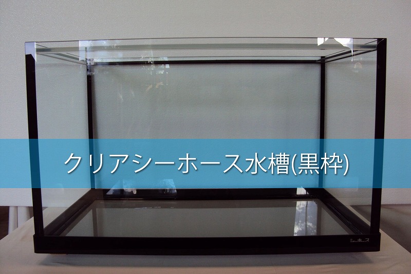クリアシーホース水槽（黒枠）
