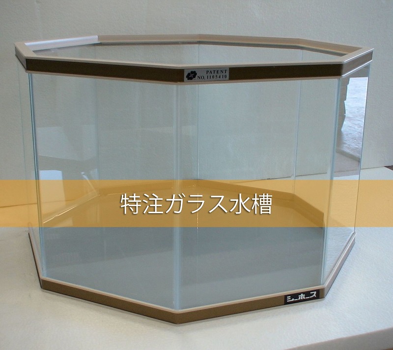 特注ガラス水槽