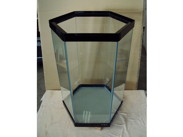 特注ガラス水槽