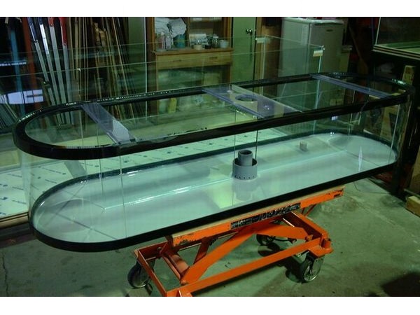 特注ガラス水槽