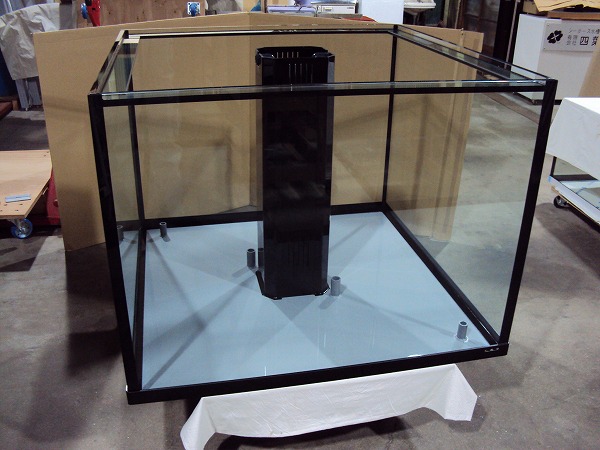 クリアシーホース水槽黒枠