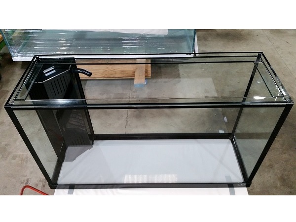 クリアシーホース水槽ブラックデザイン