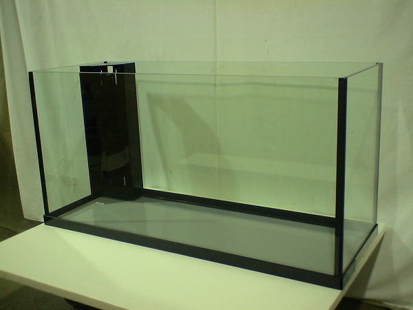 クリアシーホース水槽ブラックデザイン