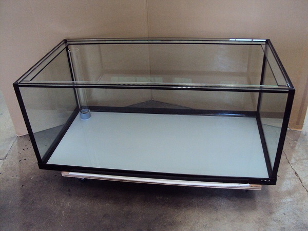 クリアシーホース水槽ブラックデザイン