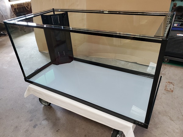 クリアシーホース水槽ブラックデザイン