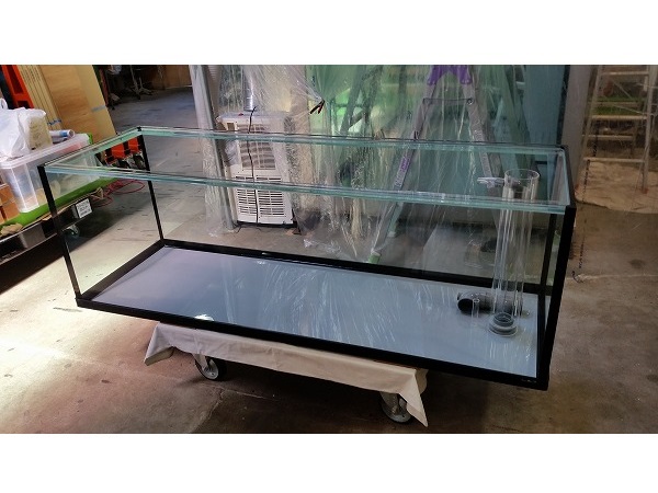 クリアシーホース水槽ブラックデザイン