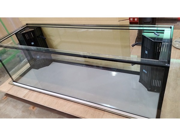 クリアシーホース水槽ブラックデザイン