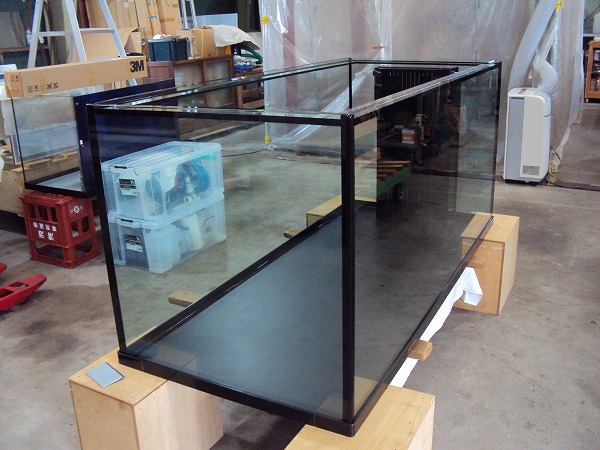 クリアシーホース水槽ブラックデザイン