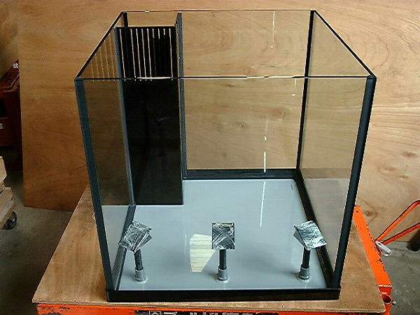 クリアシーホース水槽ブラックデザイン