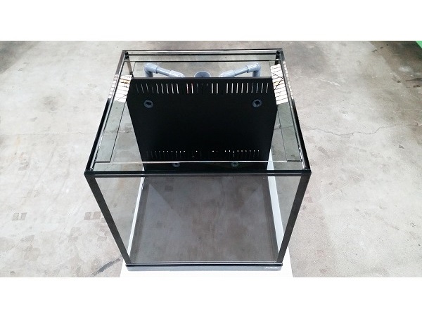 クリアシーホース水槽ブラックデザイン