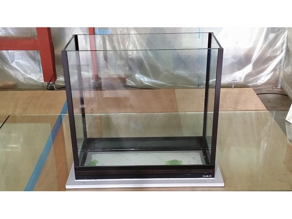 クリアシーホース水槽ブラックデザイン