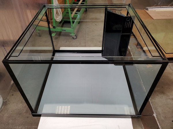 クリアシーホース水槽ブラックデザイン