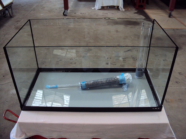 クリアシーホース水槽ブラックデザイン