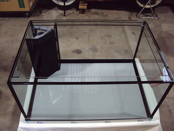 クリアシーホース水槽ブラックデザイン