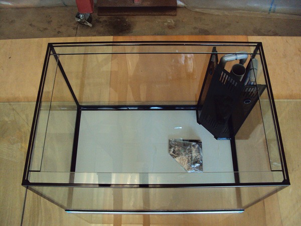 クリアシーホース水槽ブラックデザイン