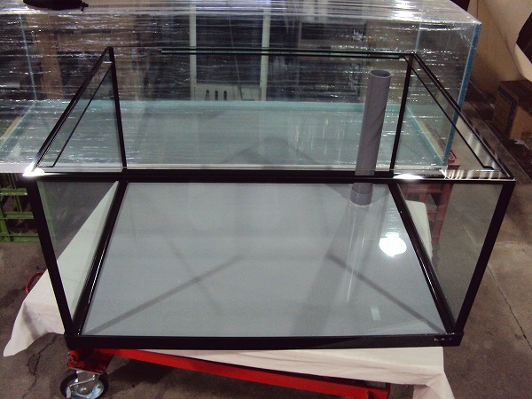 クリアシーホース水槽ブラックデザイン