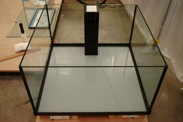 クリアシーホース水槽ブラックデザイン