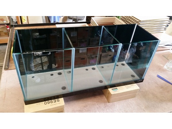 クリアシーホース水槽ブラックデザイン