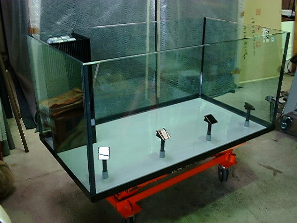 クリアシーホース水槽ブラックデザイン