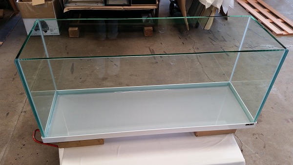 クリアシーホース水槽白枠