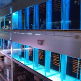 シーホース水槽