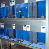 シーホース水槽