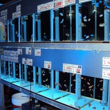 シーホース水槽