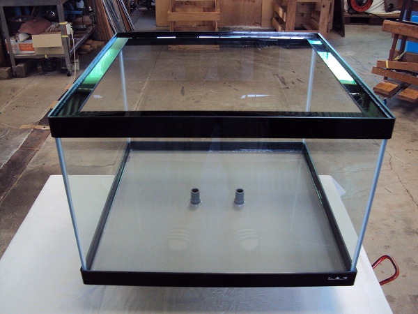 シーホース水槽（BD）