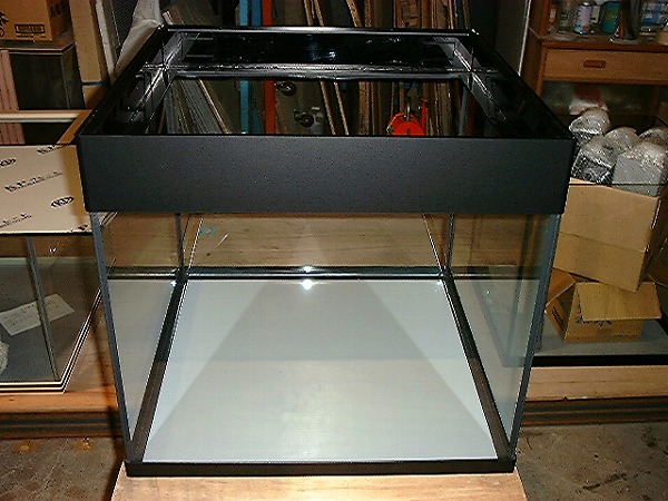 シーホース水槽ブラックデザイン