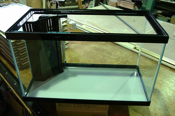 シーホース水槽ブラックデザイン