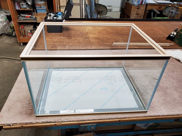 シーホース水槽S枠