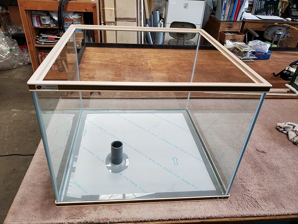 シーホース水槽S枠