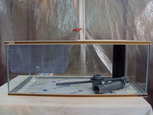 シーホース水槽S枠