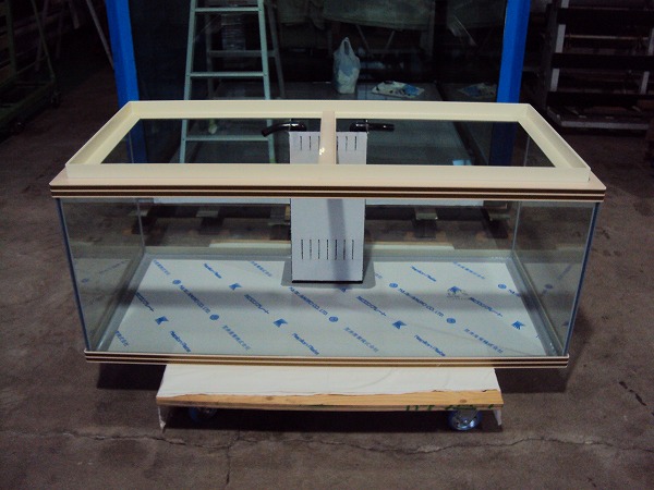 シーホース水槽Ｗ枠