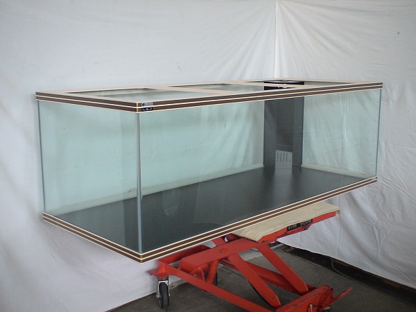 シーホース水槽Ｗ枠