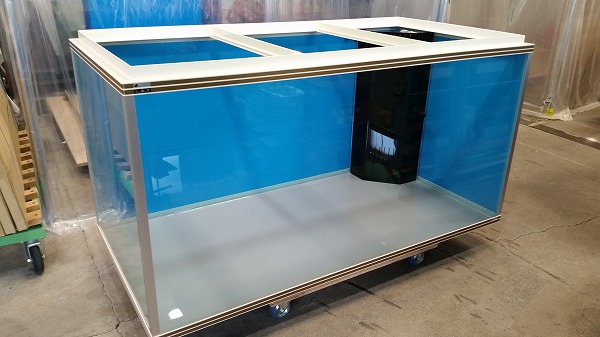 シーホース水槽Ｗ枠