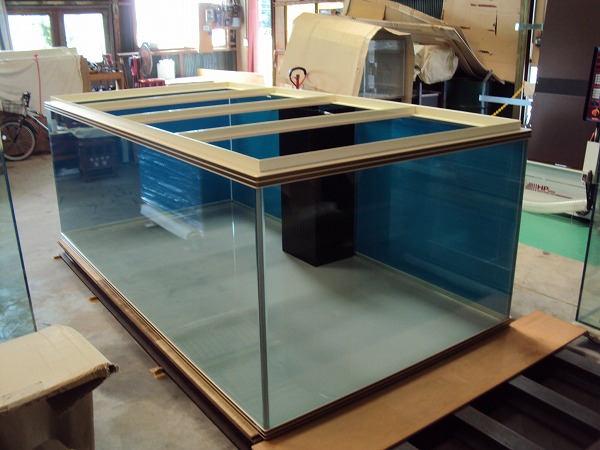 シーホース水槽Ｗ枠