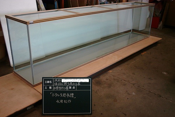 シーホース水槽Ｗ枠